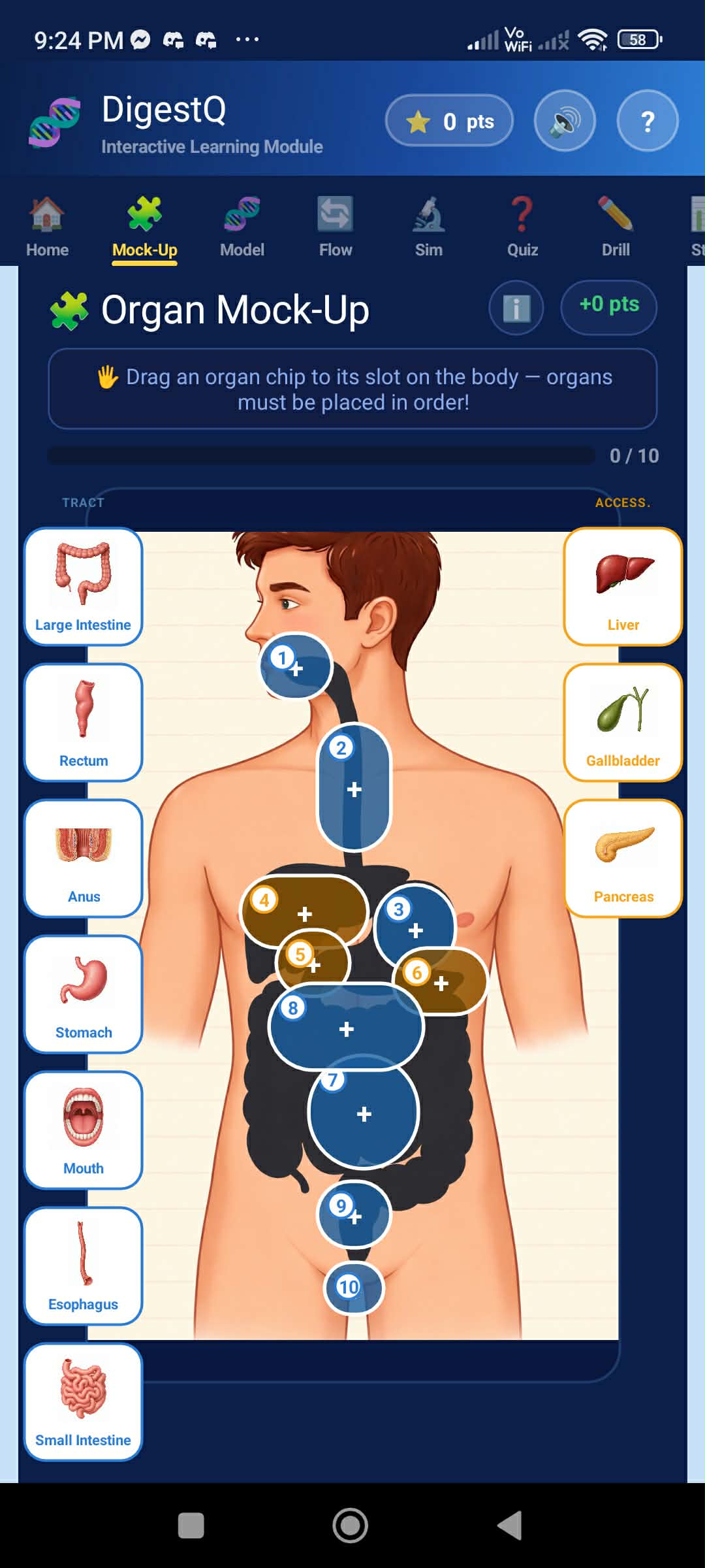 DigestQ Organ Mock-Up screen